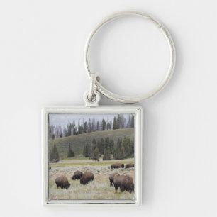 Bison in the Hayden Valley of Yellowstone Keychain
