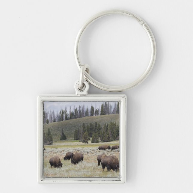 Bison in the Hayden Valley of Yellowstone Keychain (Front)