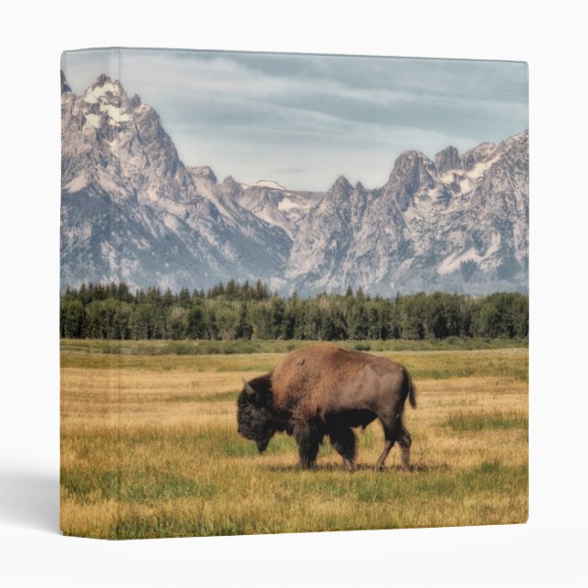 Bison in the Tetons 3 Ring Binder (Front/Spine)