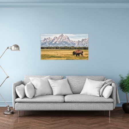 Bison In The Tetons Canvas Print