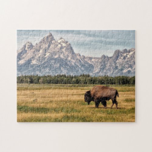 Bison in the Tetons Jigsaw Puzzle