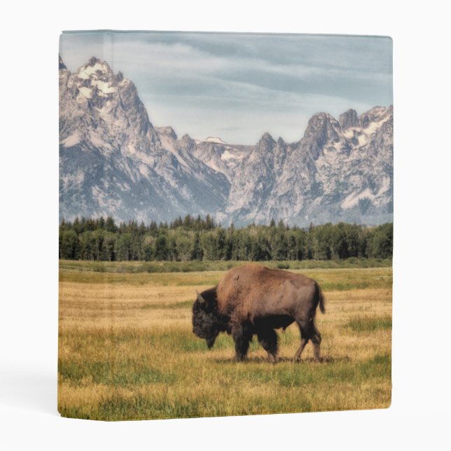 Bison in the Tetons Mini Binder (Front/Spine)