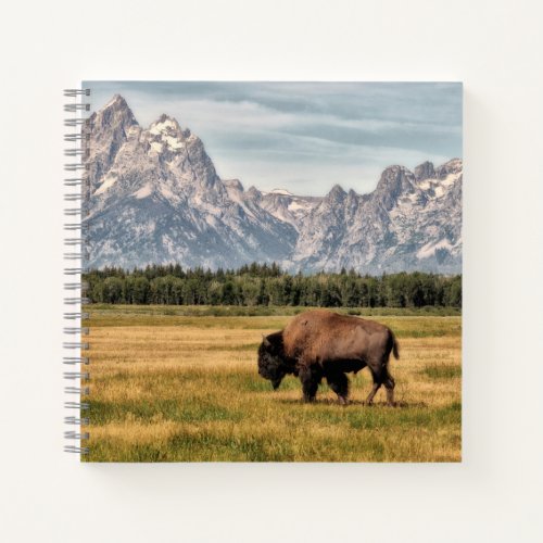 Bison in the Tetons Notebook