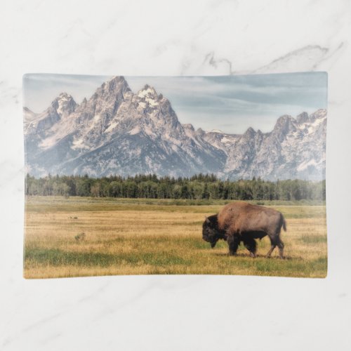 Bison in the Tetons Trinket Tray