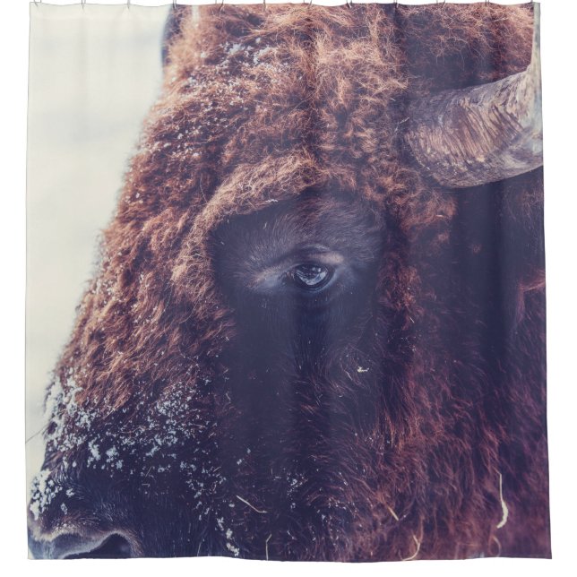 BISON IN THE WINTER SHOWER CURTAIN (Front)