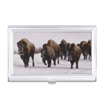 Bison In Winter Business Card Case by usyellowstone at Zazzle