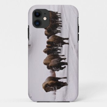 Bison In Winter Iphone 11 Case by usyellowstone at Zazzle