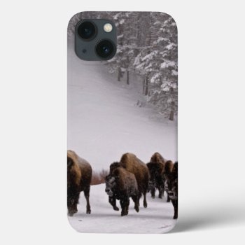 Bison In Winter Iphone 13 Case by usyellowstone at Zazzle