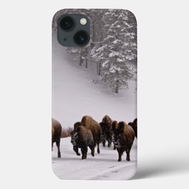 Bison in Winter Case-Mate iPhone Case (Back)