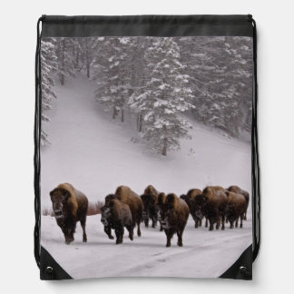 Bison in Winter Drawstring Bag