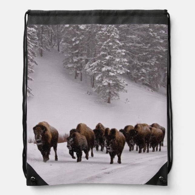 Bison in Winter Drawstring Bag (Front)