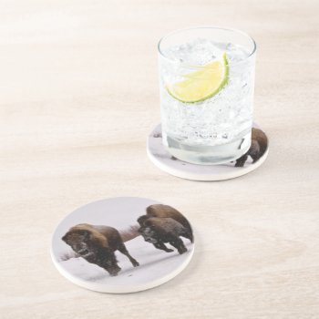 Bison In Winter Drink Coaster by usyellowstone at Zazzle
