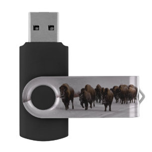 Bison in Winter Flash Drive