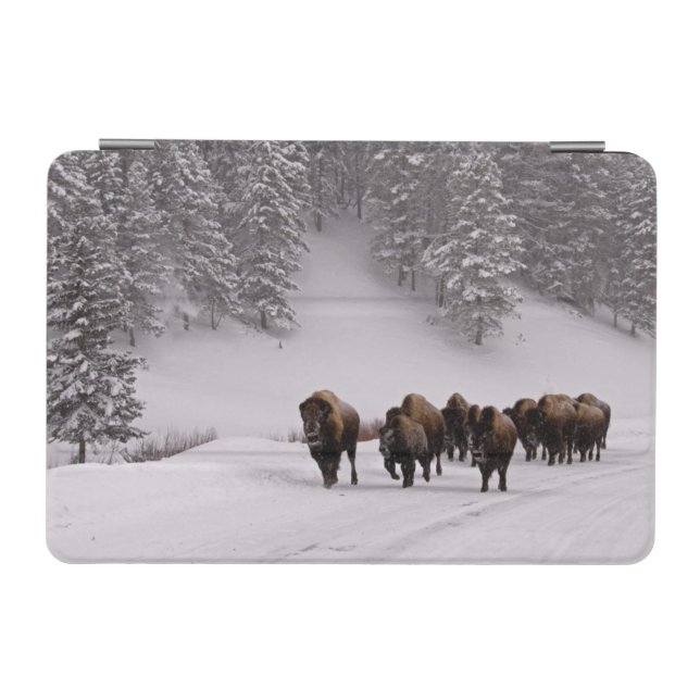 Bison in Winter iPad Mini Cover (Horizontal)
