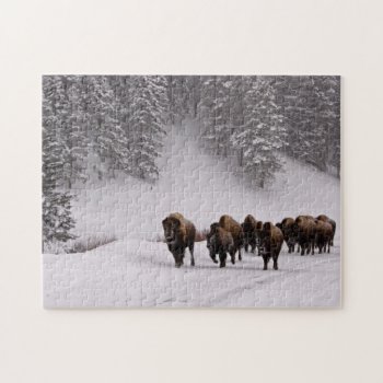 Bison In Winter Jigsaw Puzzle by usyellowstone at Zazzle