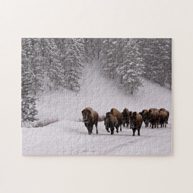 Bison in Winter Jigsaw Puzzle (Horizontal)
