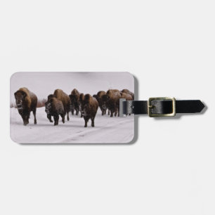 Bison in Winter Luggage Tag
