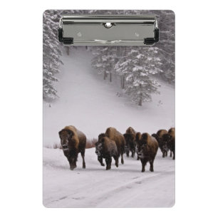 Bison in Winter Mini Clipboard