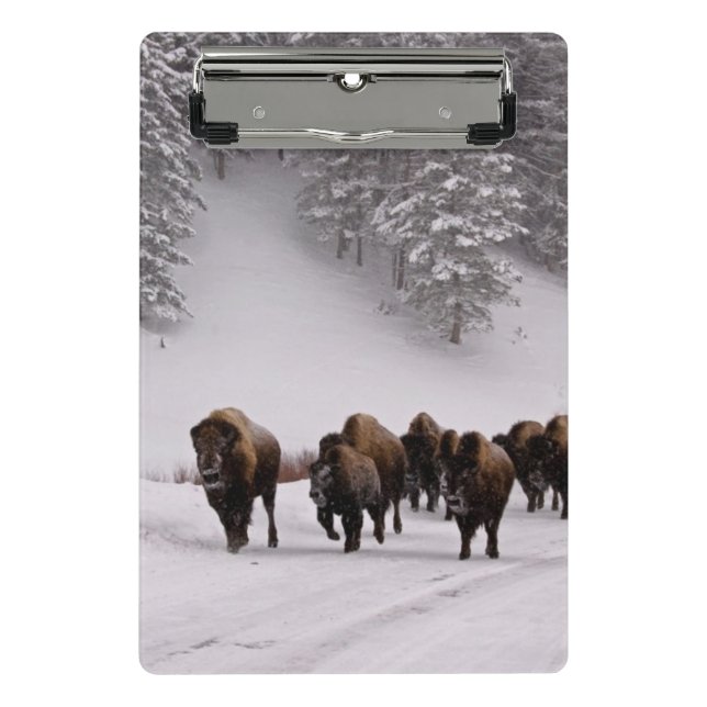 Bison in Winter Mini Clipboard (Front)