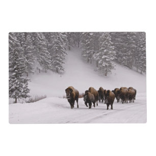 Bison in Winter Placemat