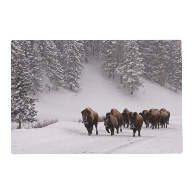 Bison in Winter Placemat (Front)