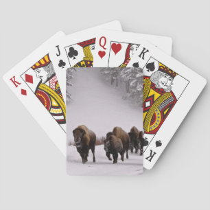 Bison in Winter Poker Cards