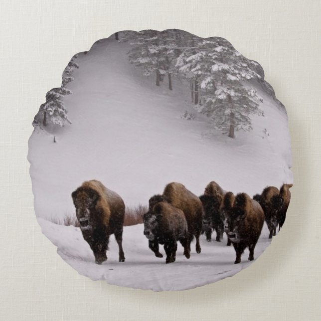Bison in Winter Round Pillow (Front)