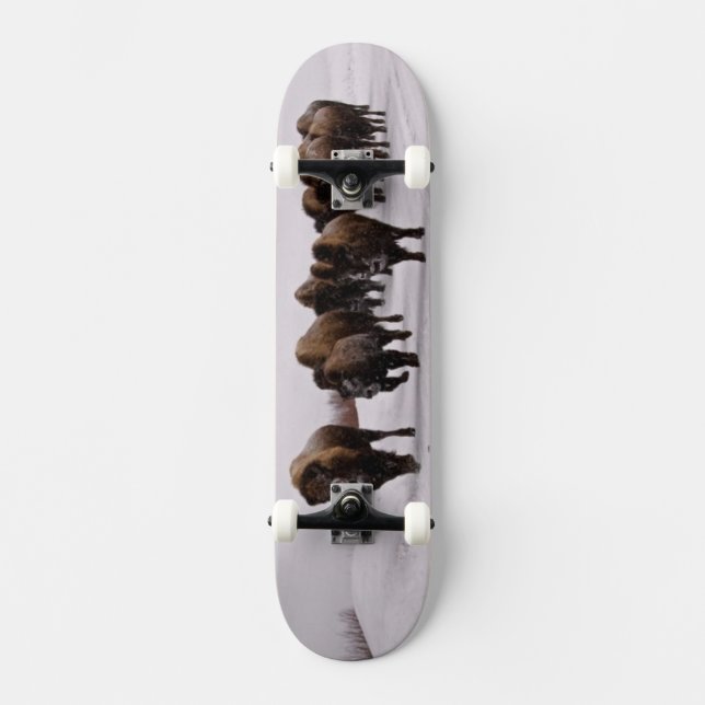 Bison in Winter Skateboard Deck (Front)