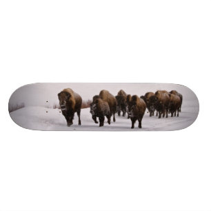 Bison in Winter Skateboard Deck