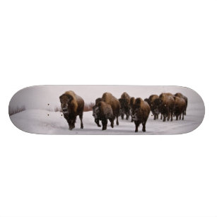 Bison in Winter Skateboard Deck