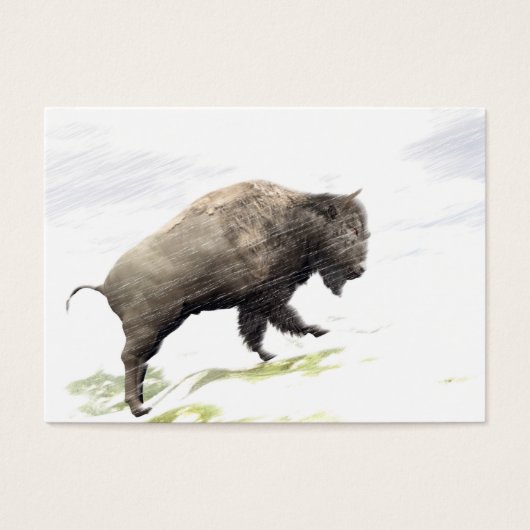 Bison in winter storm (Front)