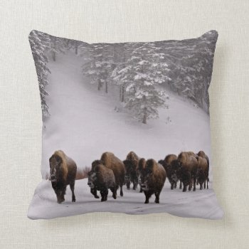 Bison In Winter Throw Pillow by usyellowstone at Zazzle