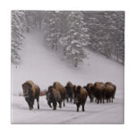 Bison in Winter Tile<br><div class="desc">Bison in winter,  Yellowstone National Park.</div>