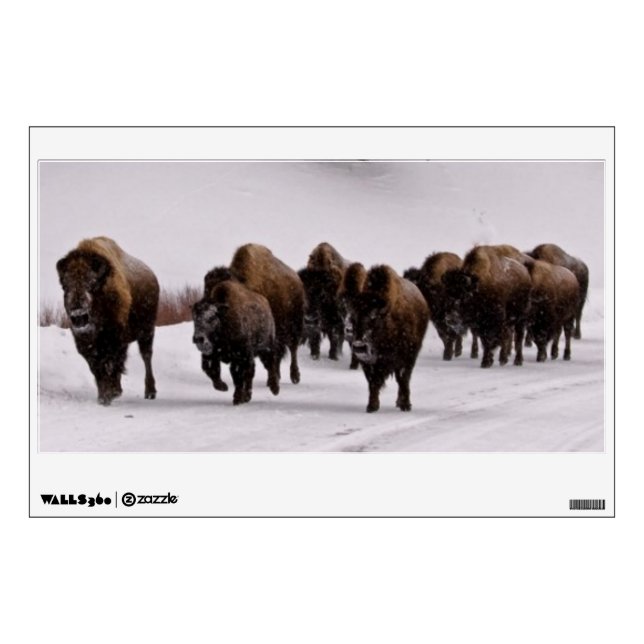 Bison in Winter Wall Decal (Front)