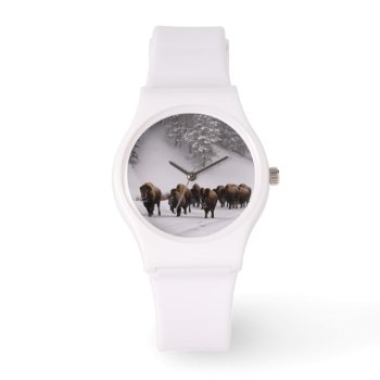 Bison In Winter Watch by usyellowstone at Zazzle