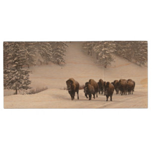 Bison in Winter Wood Flash Drive