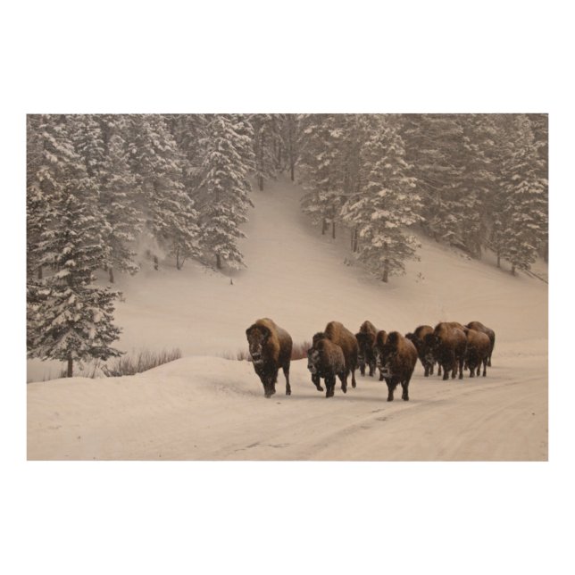 Bison in Winter Wood Wall Decor (Front)