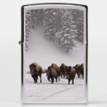 Bison In Winter Zippo Lighter at Zazzle