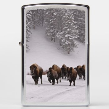 Bison In Winter Zippo Lighter by usyellowstone at Zazzle