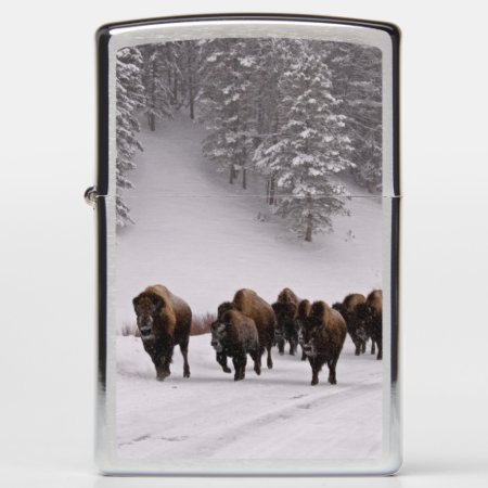 Bison In Winter Zippo Lighter
