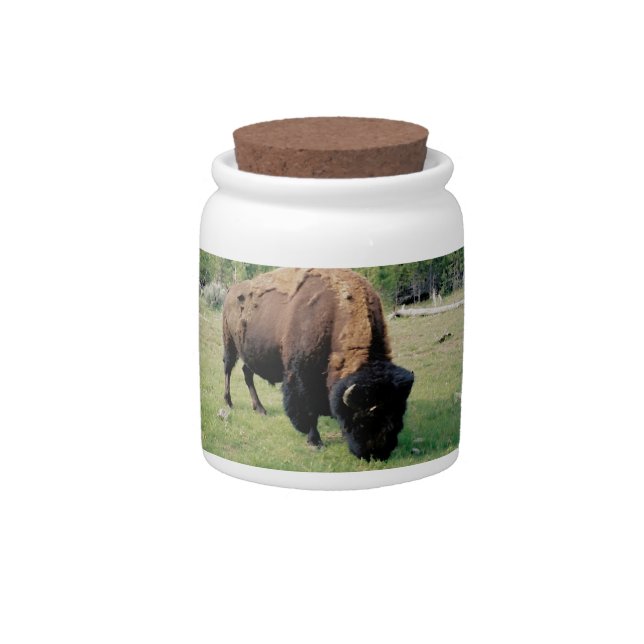 Bison in Yellowstone Candy Jar (Front)