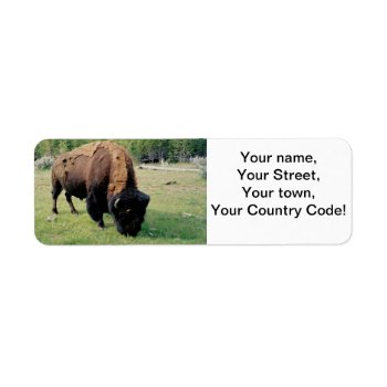 Bison In Yellowstone Label by VacationPhotography at Zazzle