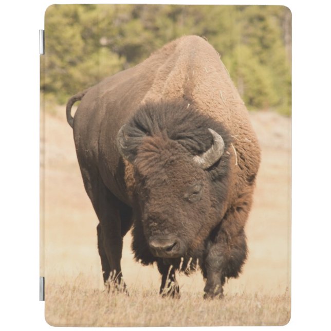 Bison iPad Smart Cover (Front)