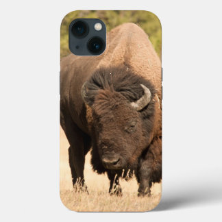 Bison iPhone 13 Case