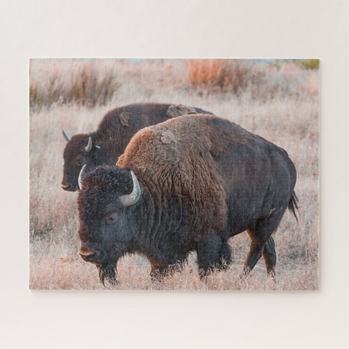 Bison Jigsaw Puzzle