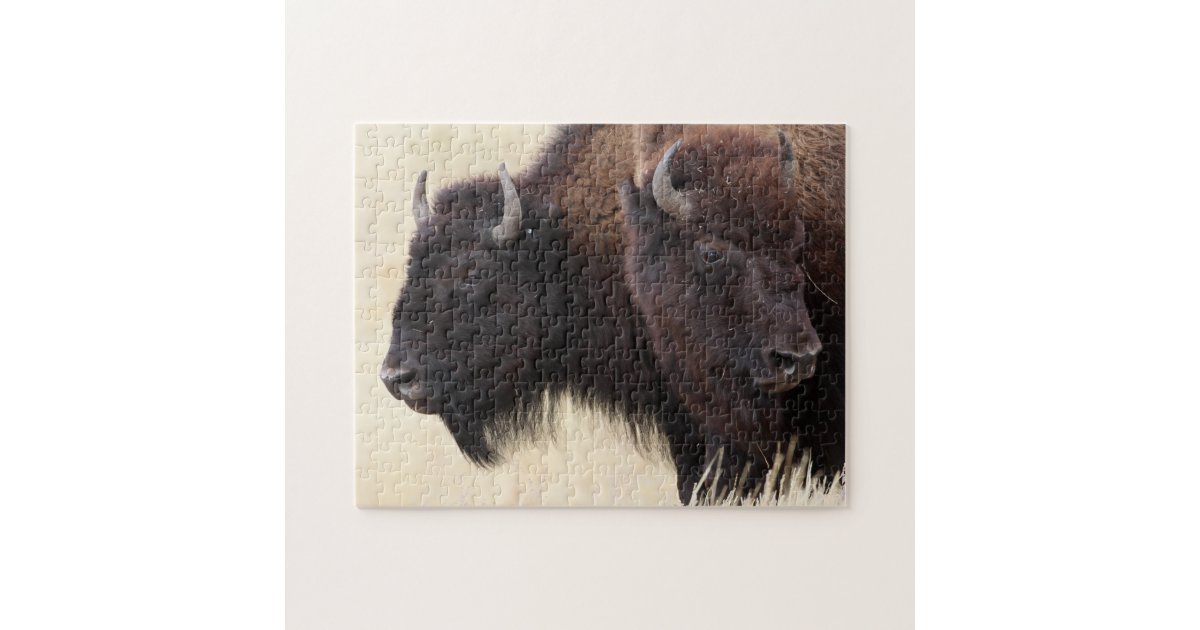 bison jigsaw puzzle | Zazzle