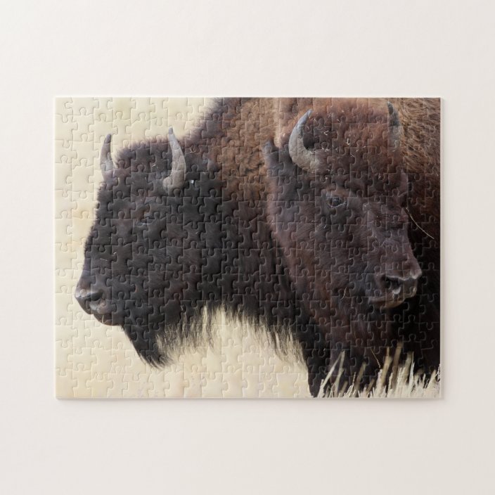 bison jigsaw puzzle | Zazzle.com