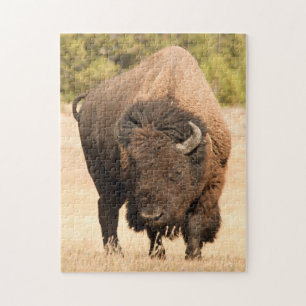 Bison Jigsaw Puzzle