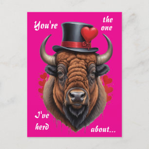 Bison Love with a Wild Sense of Humor Holiday Postcard