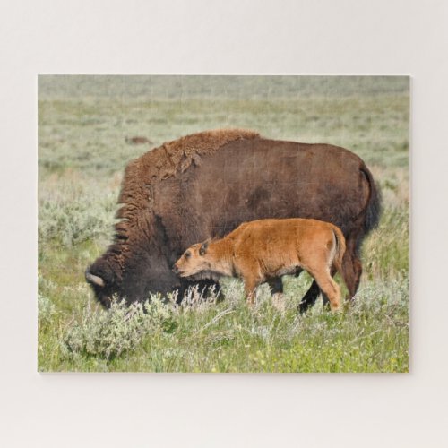 Bison Mama and Baby Design Puzzle